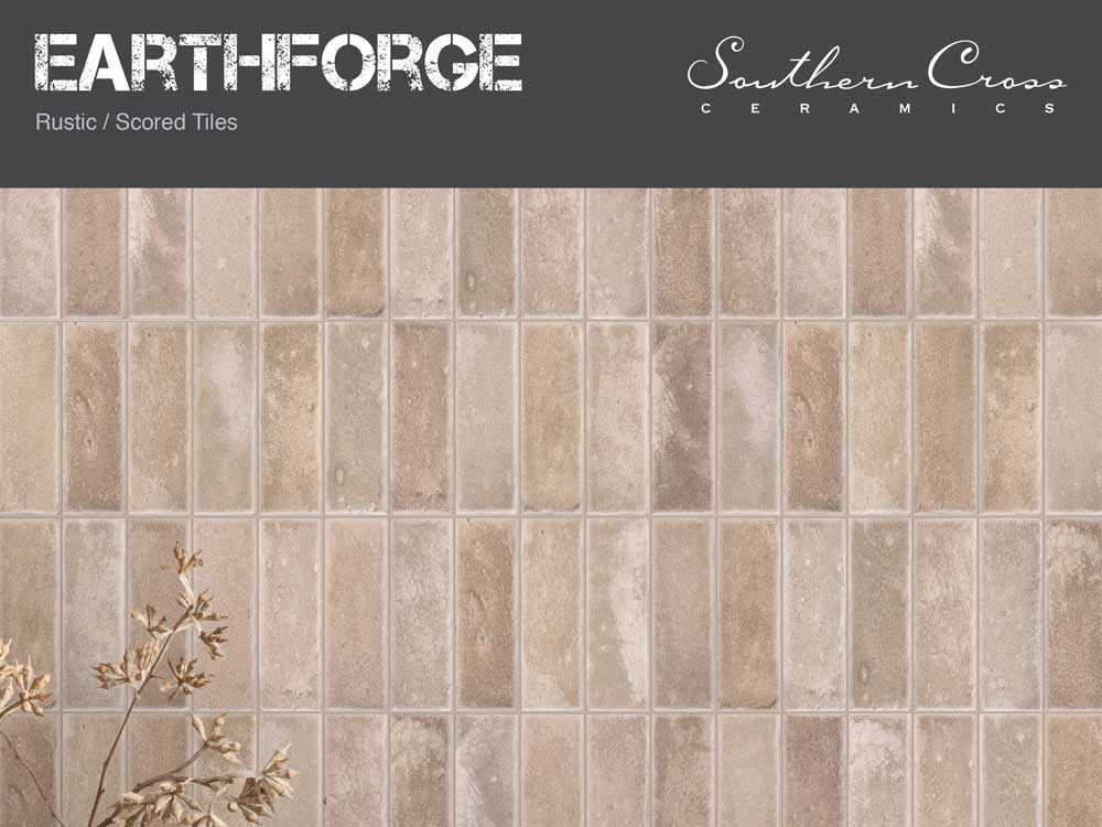 EarthforgeFlyer