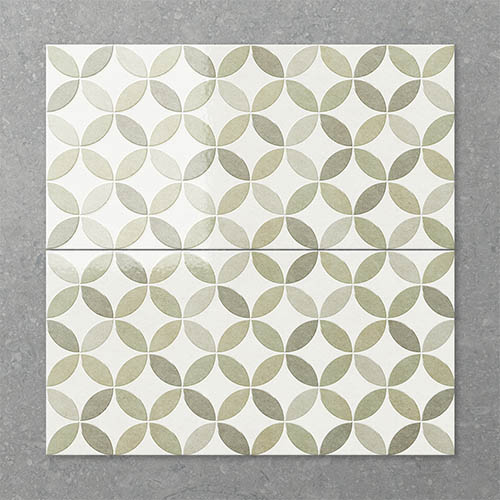 Folio Century Scorched Lime