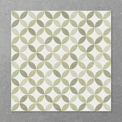 Folio Century Scorched Lime