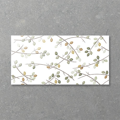 Folio Young Birch Sprout