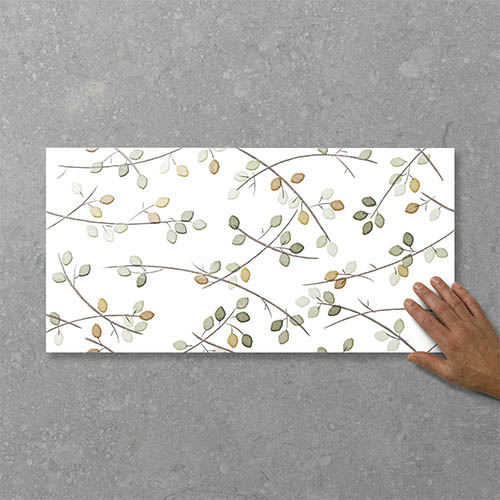 Folio Young Birch Sprout