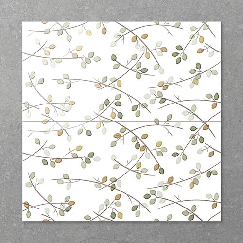 Folio Young Birch Sprout