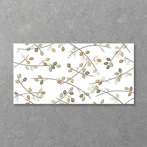 Folio Young Birch Sprout