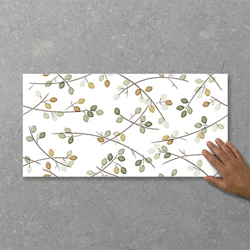 Folio Young Birch Sprout