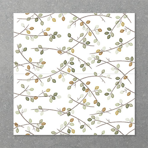Folio Young Birch Sprout