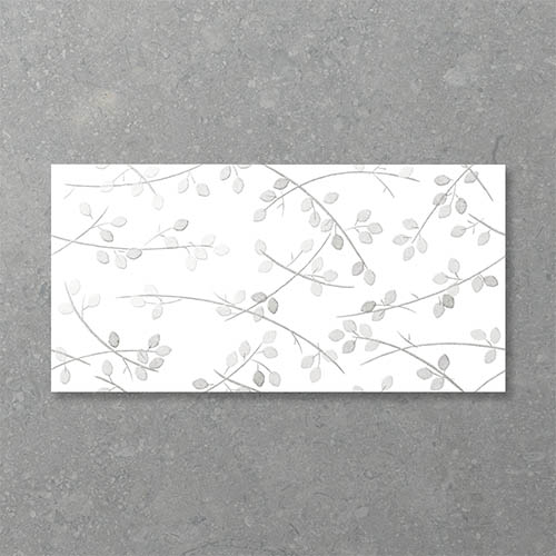 Folio Young Birch Stolen Whisper