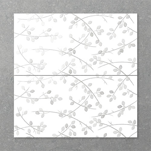 Folio Young Birch Stolen Whisper