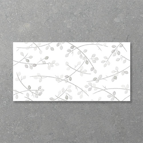 Folio Young Birch Stolen Whisper