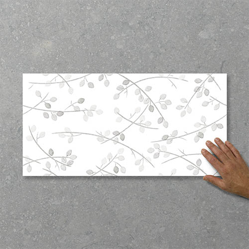 Folio Young Birch Stolen Whisper