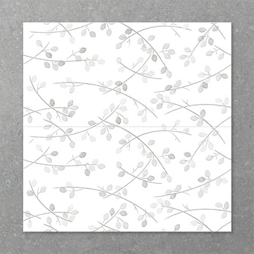 Folio Young Birch Stolen Whisper