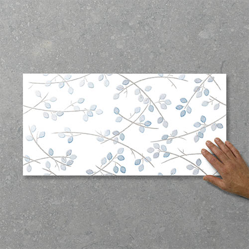 Folio Young Birch Washed Blue