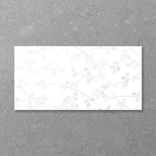 Folio Young Birch Bianco