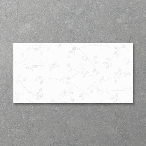 Folio Young Birch Bianco