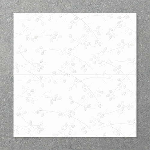 Folio Young Birch Bianco