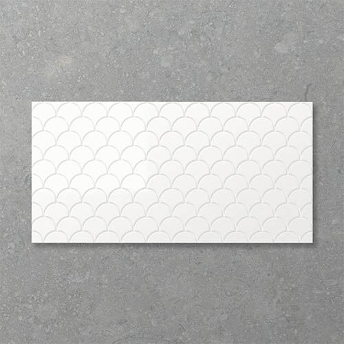 Infinity Fanfare Cotton