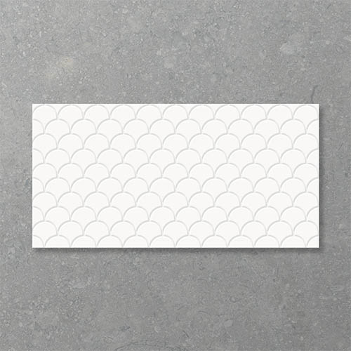 Infinity Fanfare Cotton