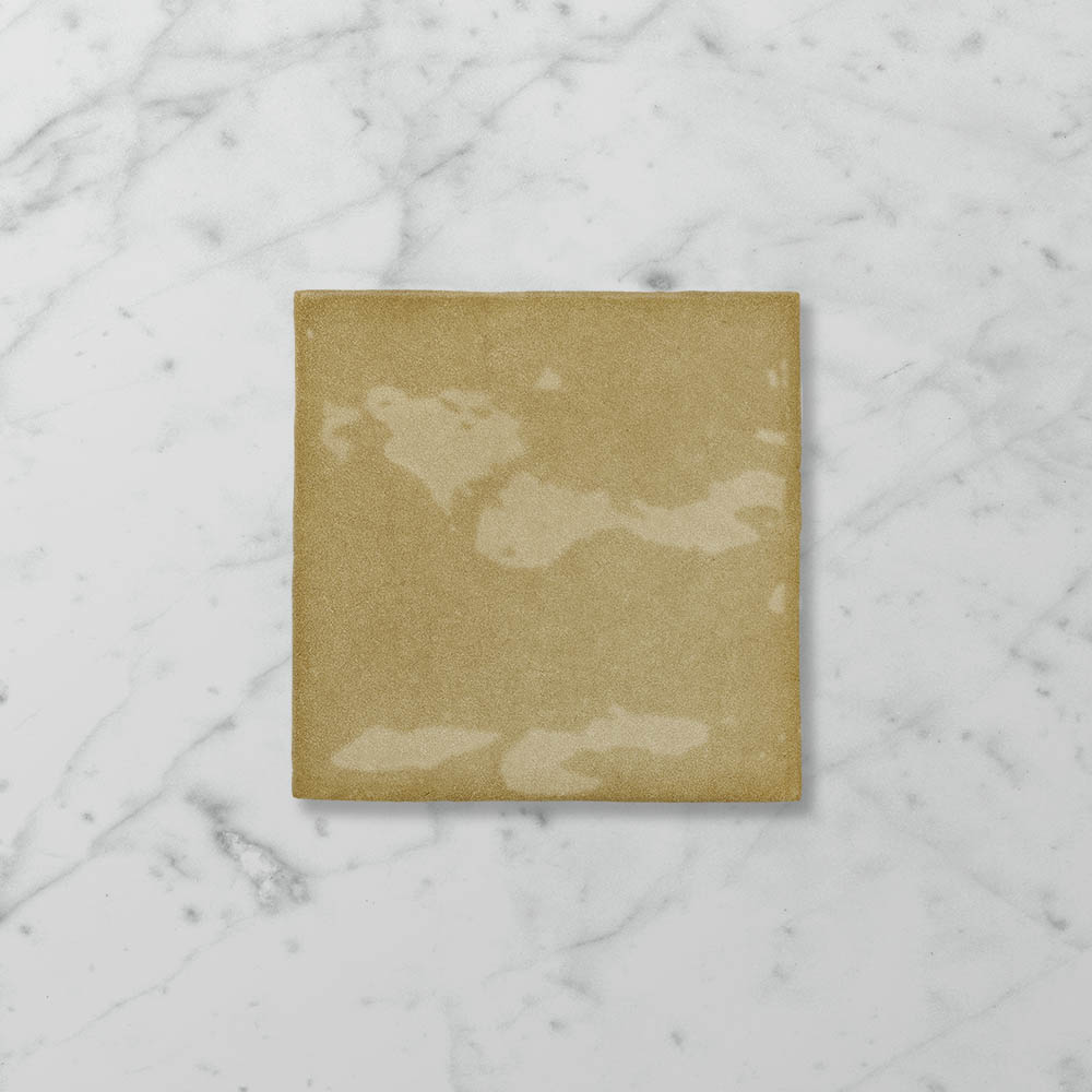 Tetra Odyssey Mild Mustard