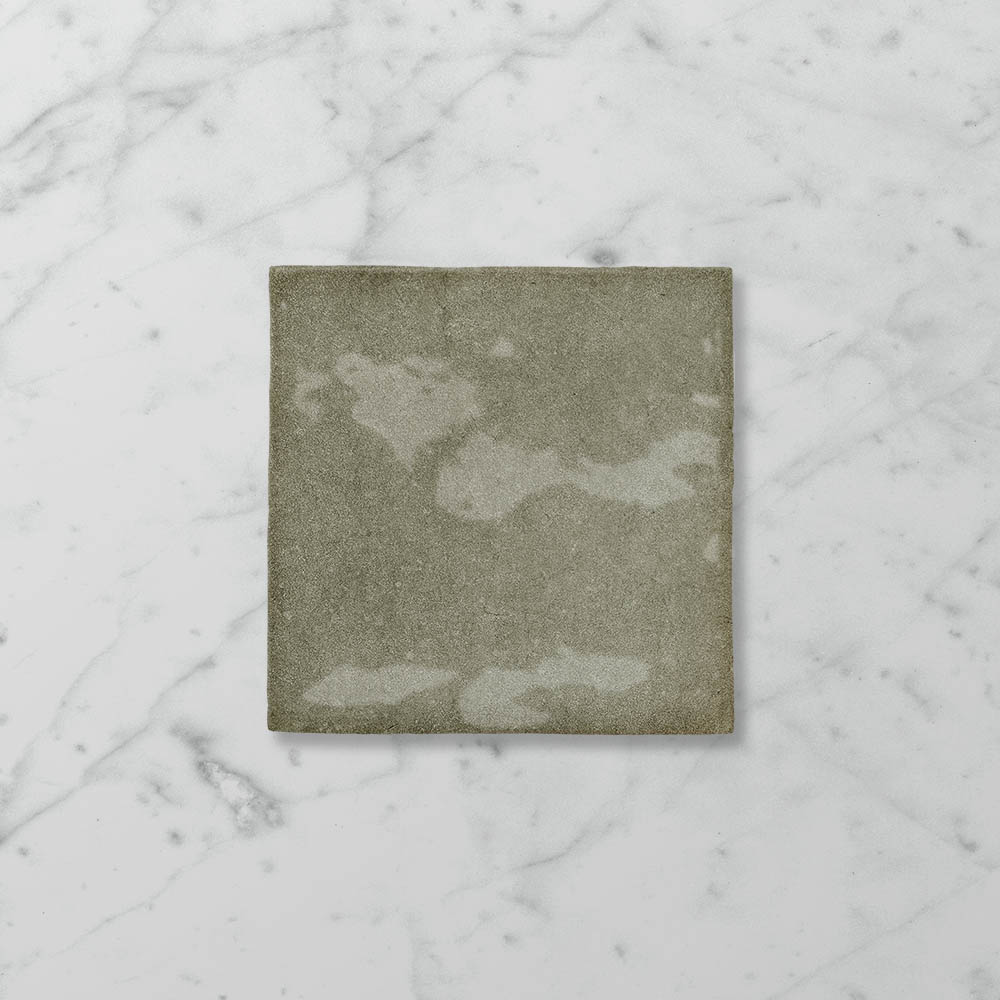 Tetra Odyssey Spanish Olive