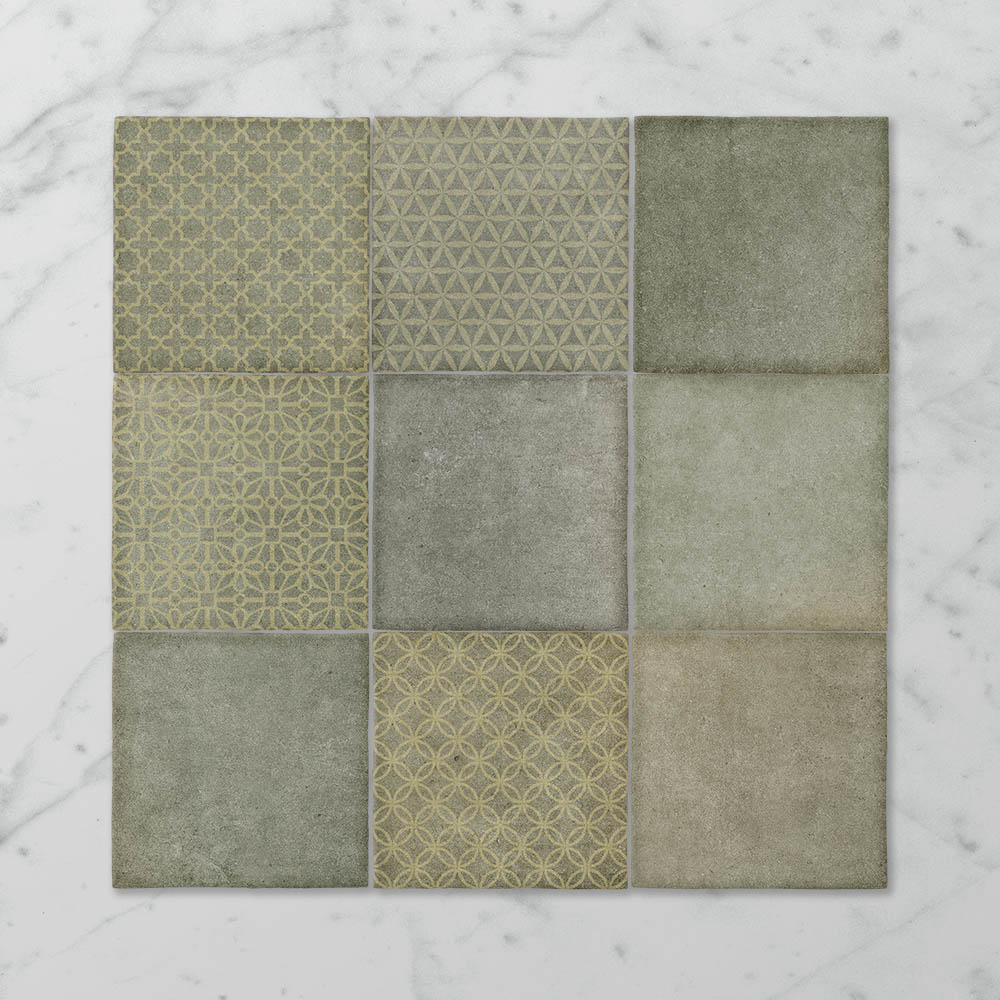 Tetra Odyssey Spanish Olive