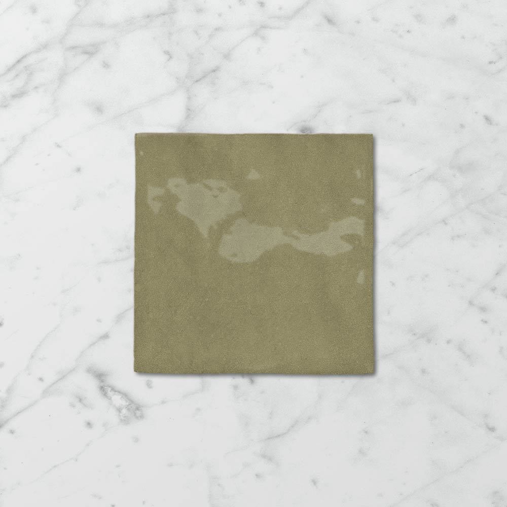 Tetra Nova Spanish Olive