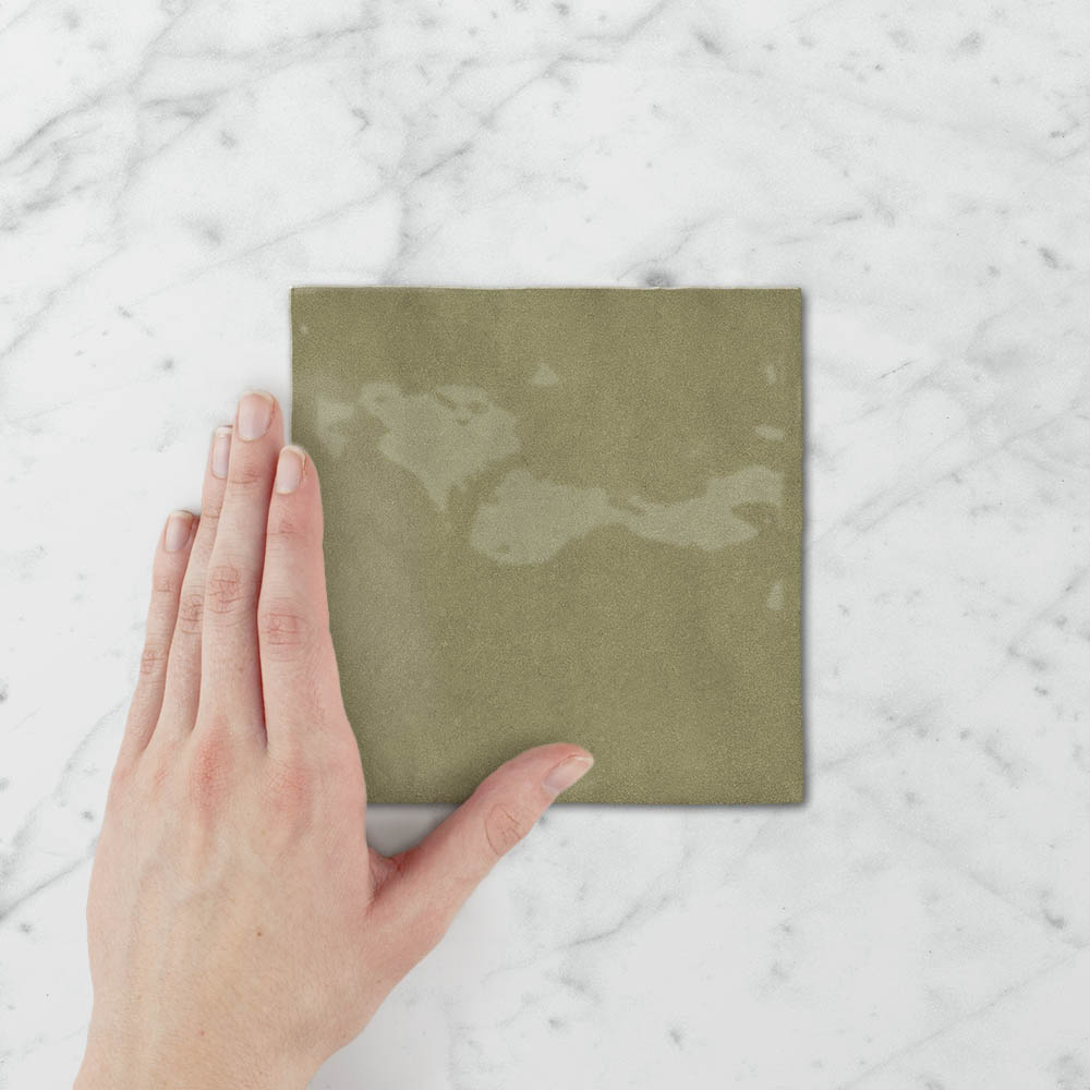 Tetra Nova Spanish Olive