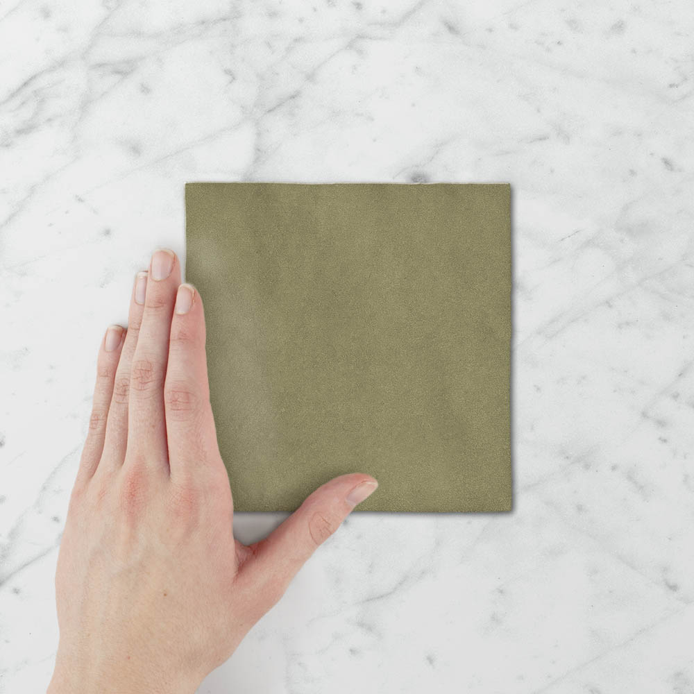 Tetra Nova Spanish Olive