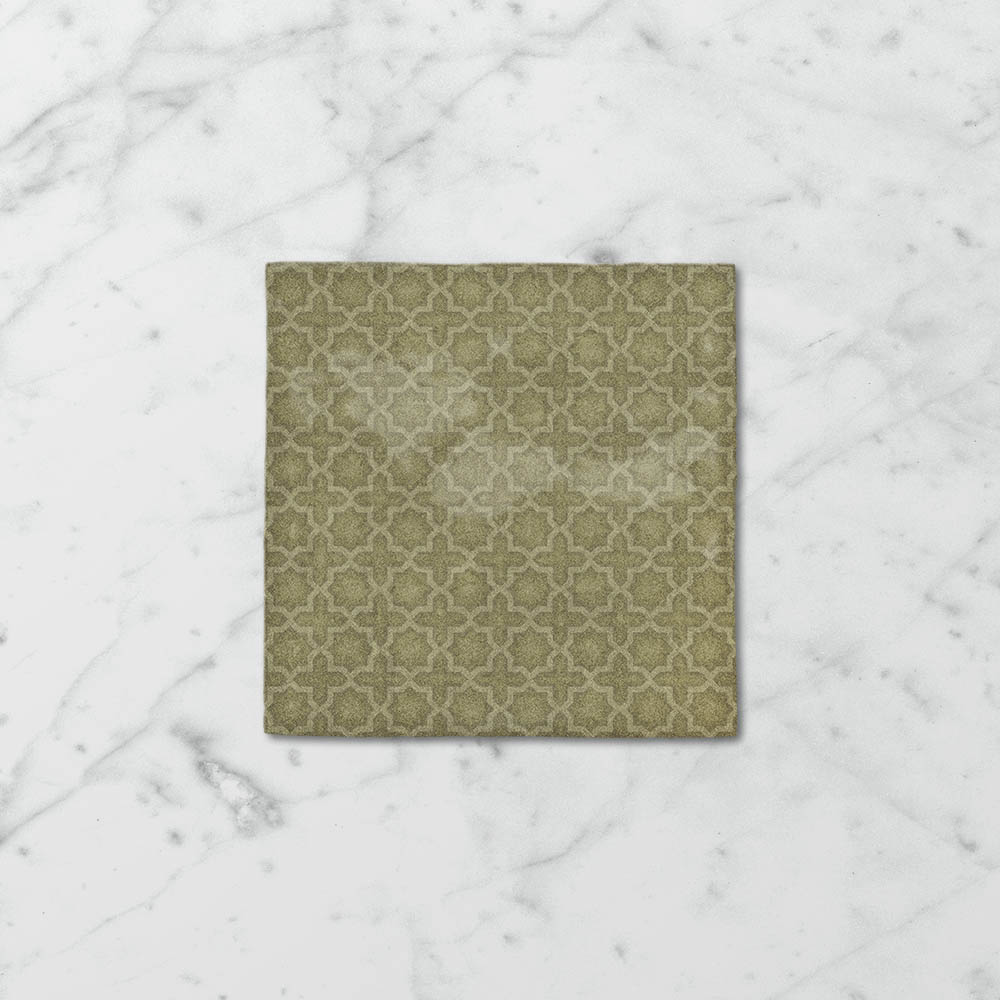 Tetra Fusion Spanish Olive