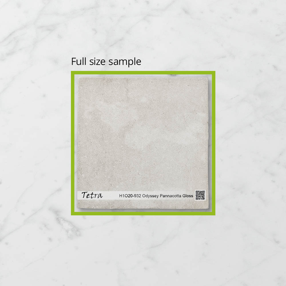 Tetra Odyssey Pannacotta