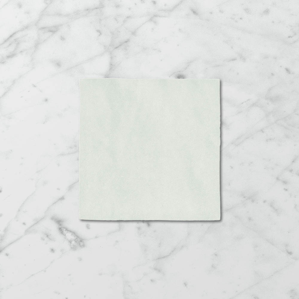 Tetra Nova Classic Mint